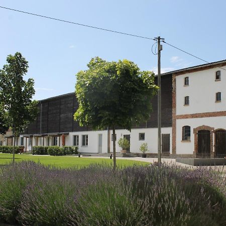 Apartamento Gutshof Marienthal Viereck Exterior foto